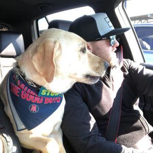 Meet your Posher, Brandon